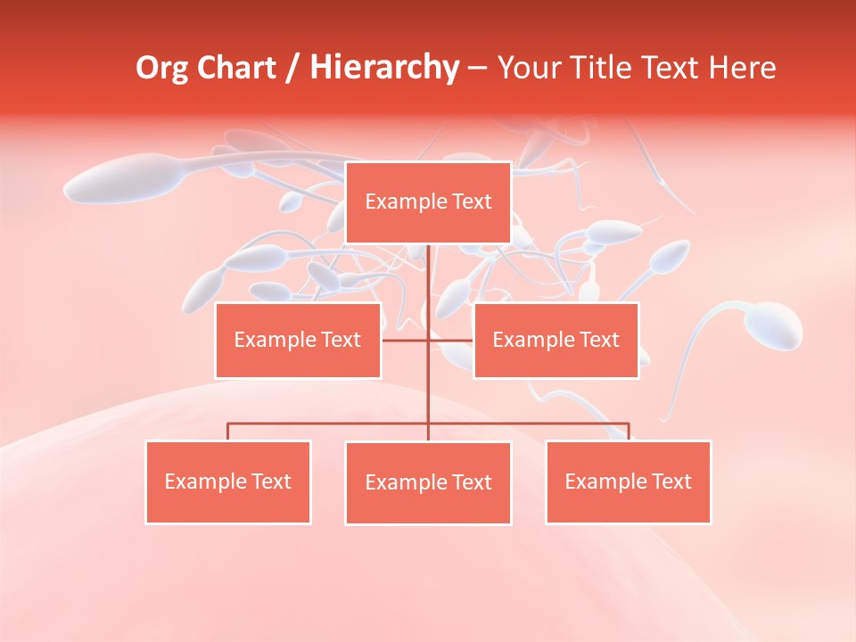 Fertilization Reproduction Study PowerPoint Template