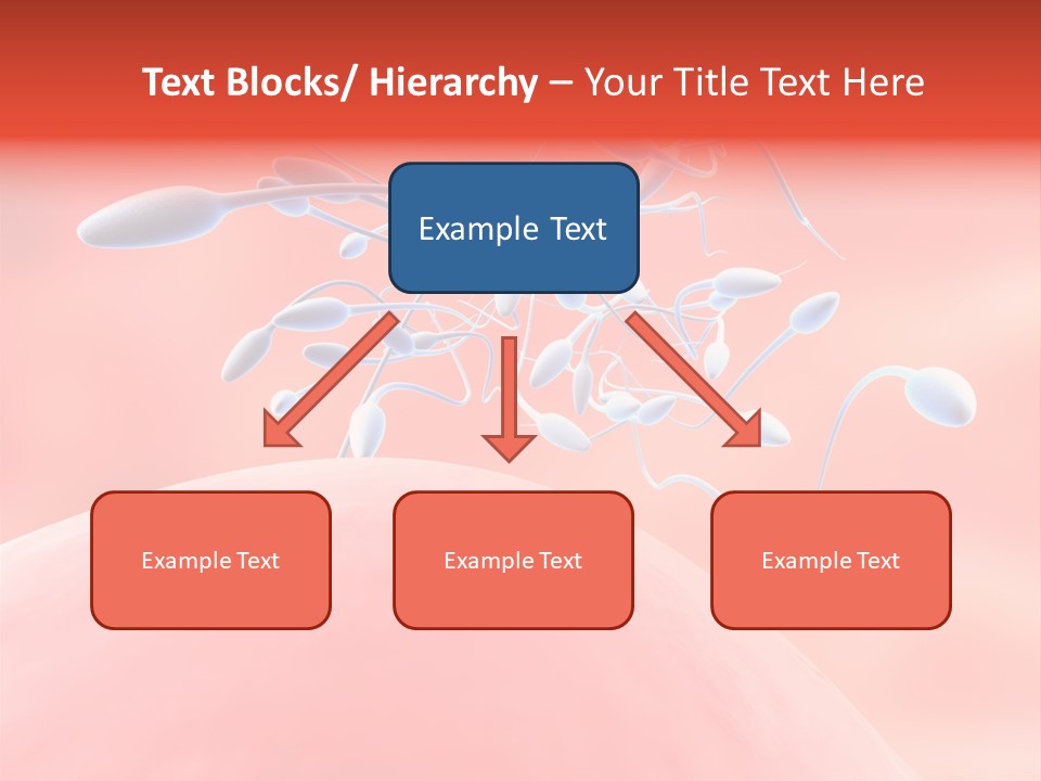 Fertilization Reproduction Study PowerPoint Template