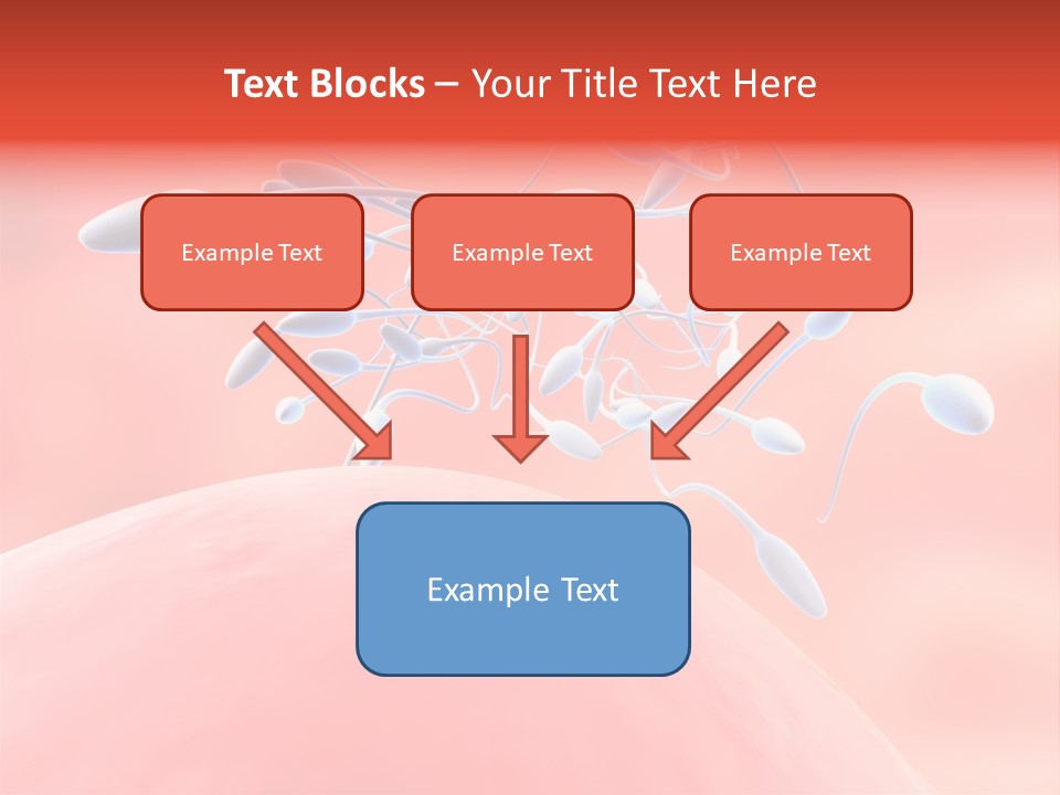 Fertilization Reproduction Study PowerPoint Template