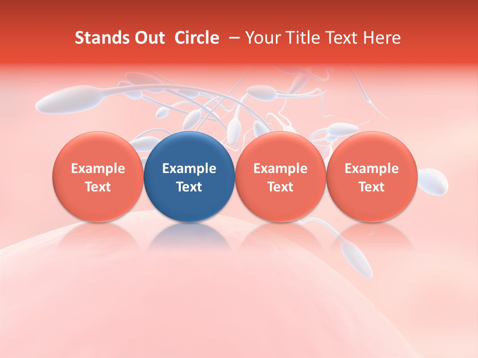 Fertilization Reproduction Study PowerPoint Template