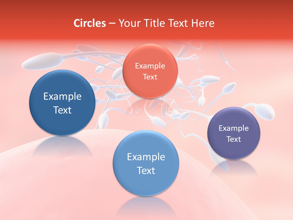 Fertilization Reproduction Study PowerPoint Template
