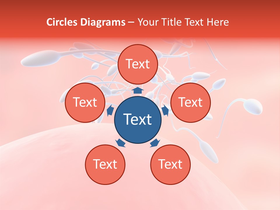 Fertilization Reproduction Study PowerPoint Template
