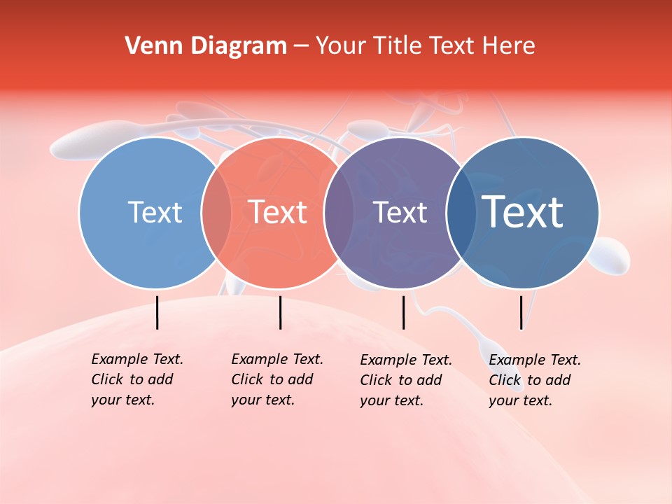 Fertilization Reproduction Study PowerPoint Template