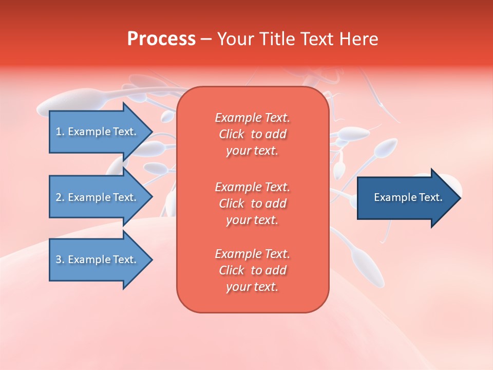 Fertilization Reproduction Study PowerPoint Template