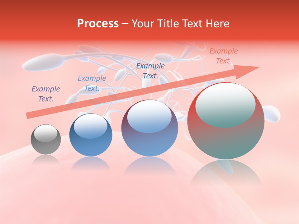 Fertilization Reproduction Study PowerPoint Template