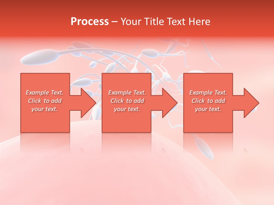 Fertilization Reproduction Study PowerPoint Template