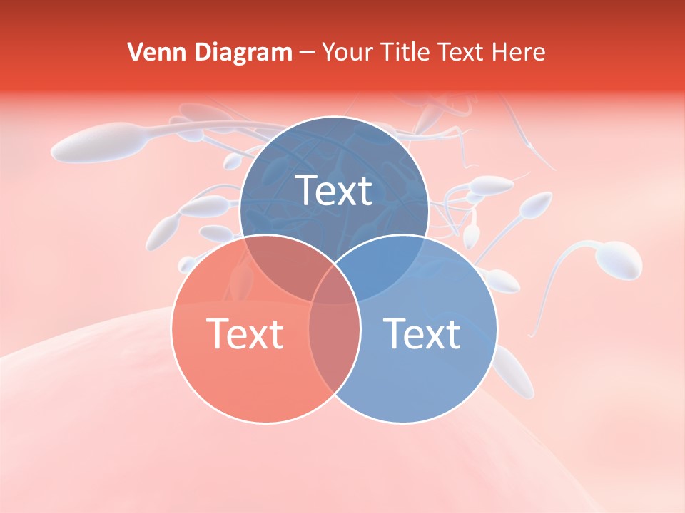 Fertilization Reproduction Study PowerPoint Template