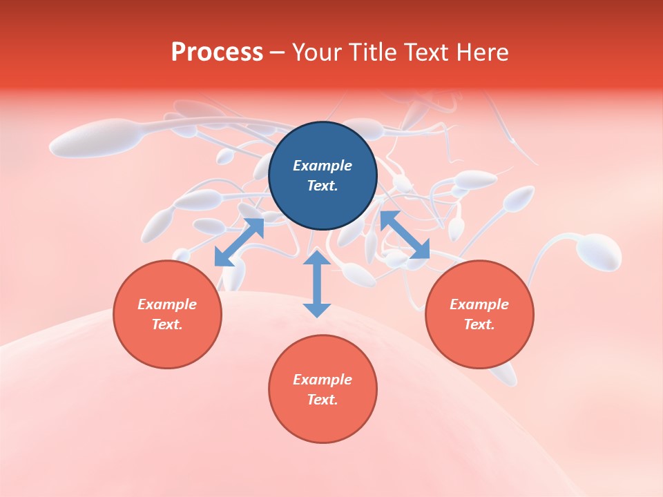 Fertilization Reproduction Study PowerPoint Template