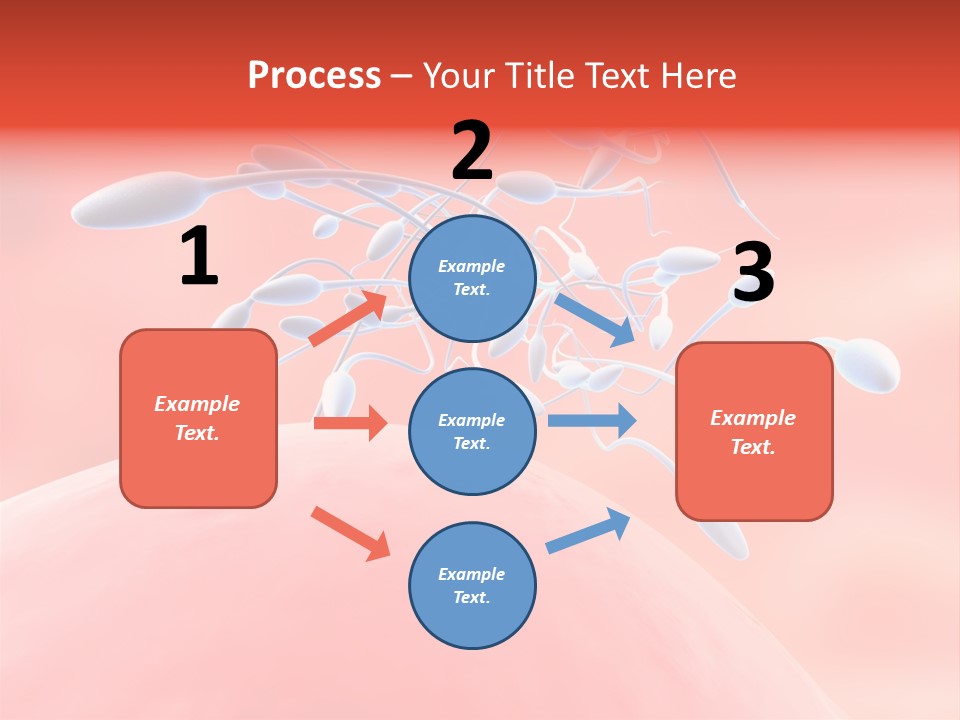 Fertilization Reproduction Study PowerPoint Template