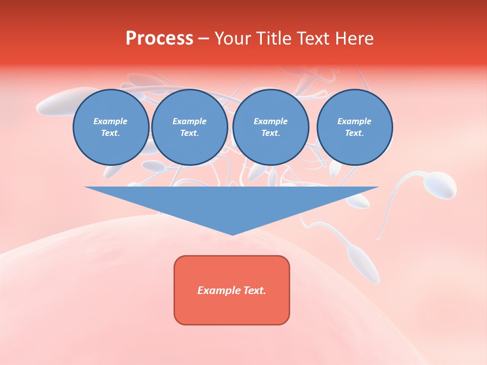 Fertilization Reproduction Study PowerPoint Template