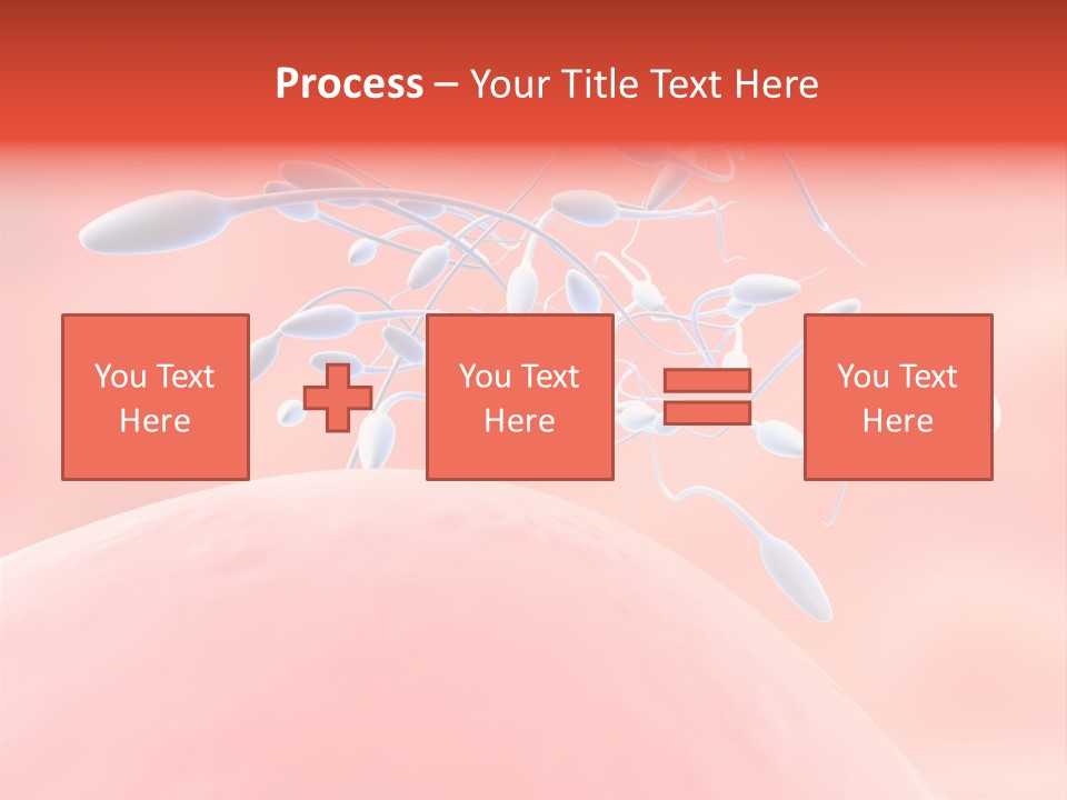 Fertilization Reproduction Study PowerPoint Template