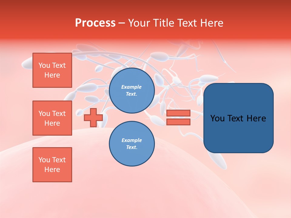 Fertilization Reproduction Study PowerPoint Template