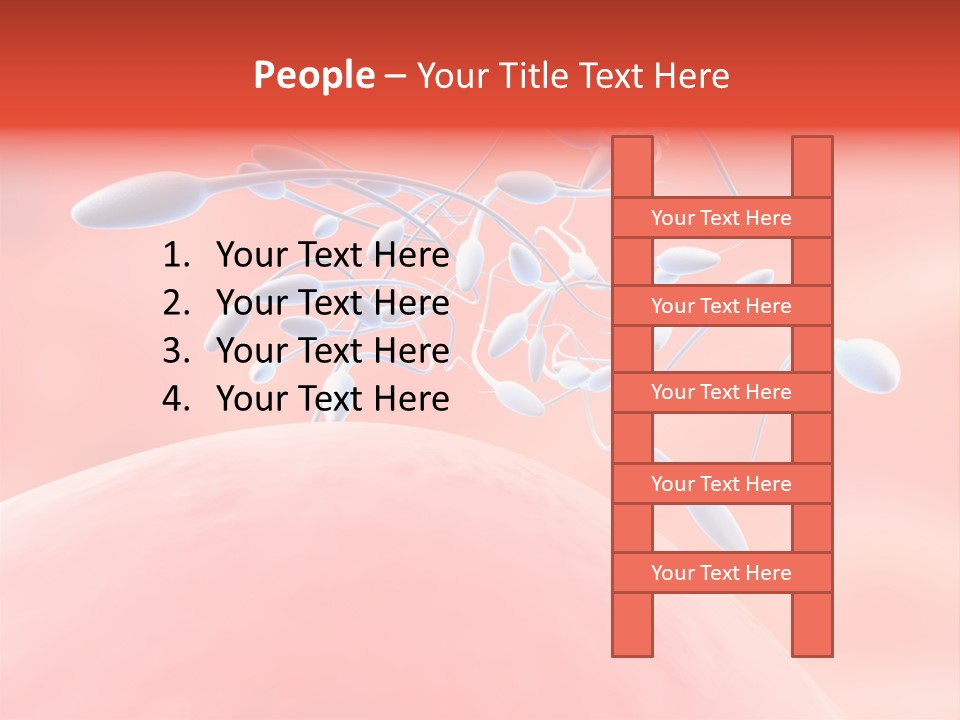 Fertilization Reproduction Study PowerPoint Template