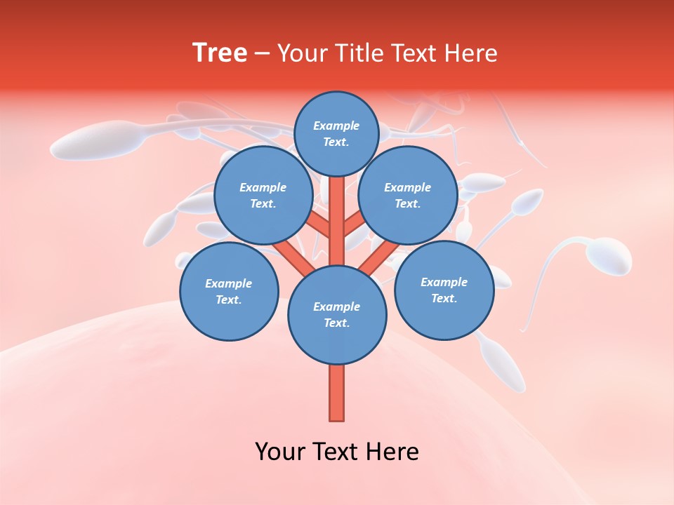 Fertilization Reproduction Study PowerPoint Template