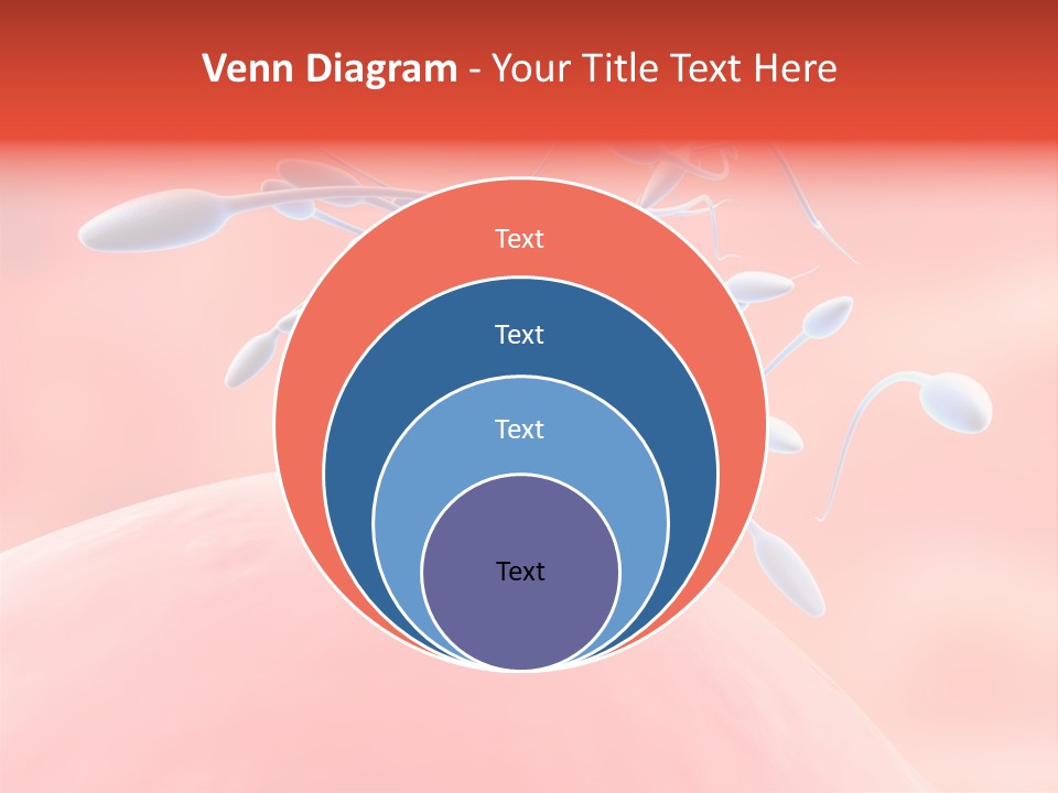 Fertilization Reproduction Study PowerPoint Template