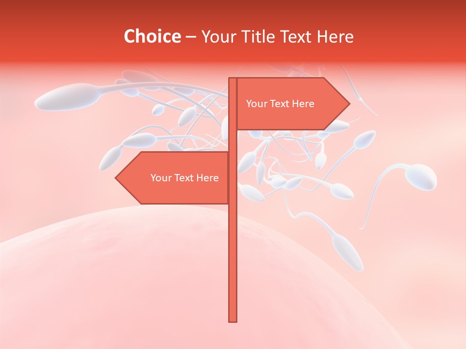 Fertilization Reproduction Study PowerPoint Template