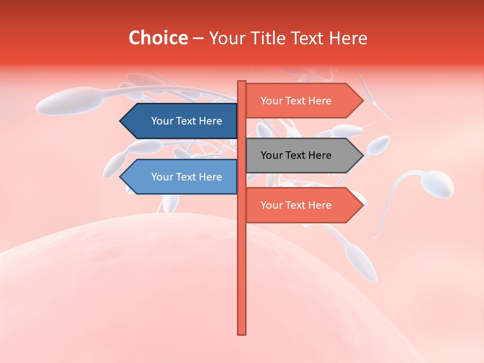 Fertilization Reproduction Study PowerPoint Template