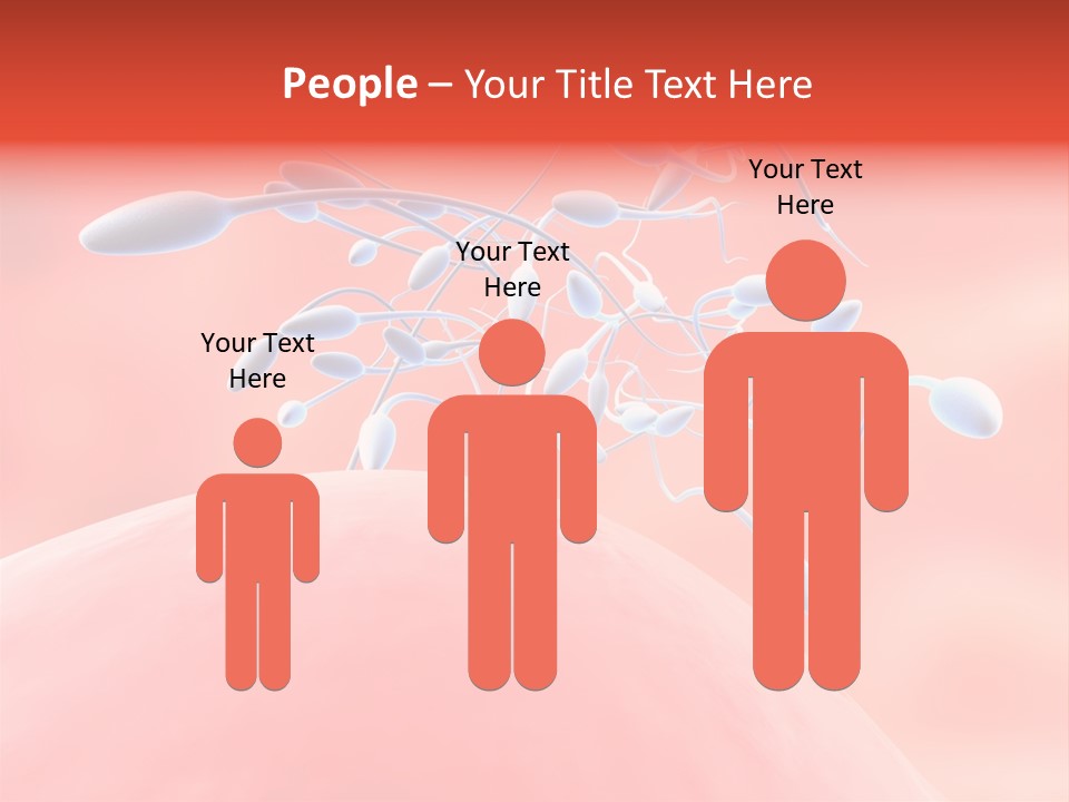 Fertilization Reproduction Study PowerPoint Template