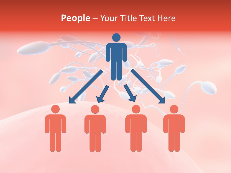 Fertilization Reproduction Study PowerPoint Template