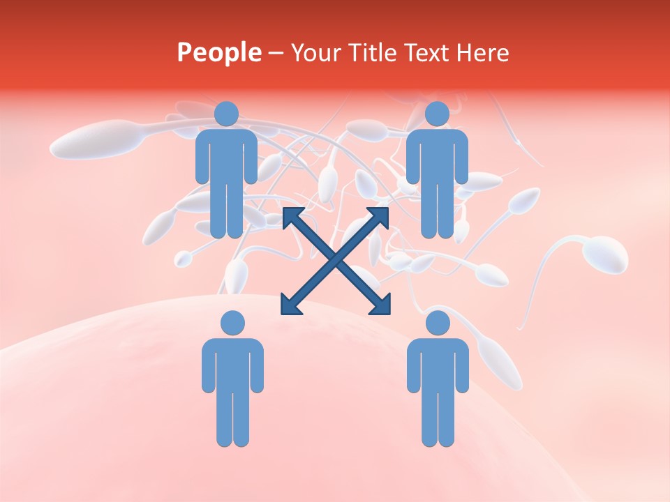 Fertilization Reproduction Study PowerPoint Template