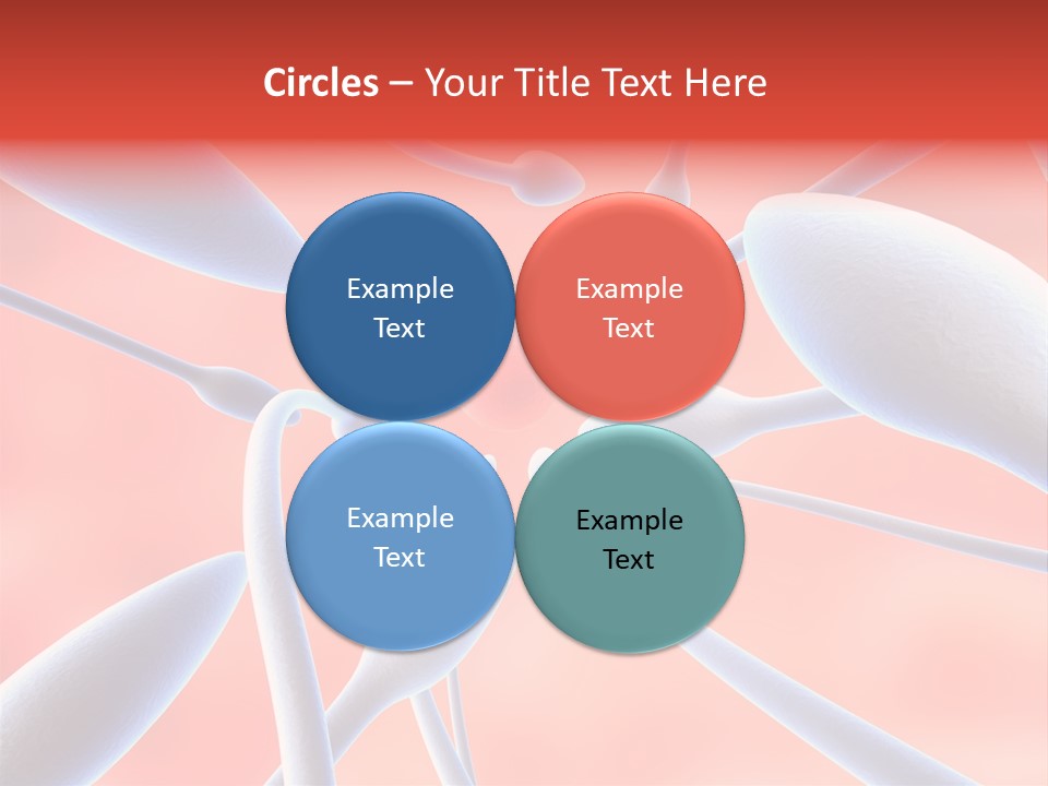 Study Life Bio PowerPoint Template