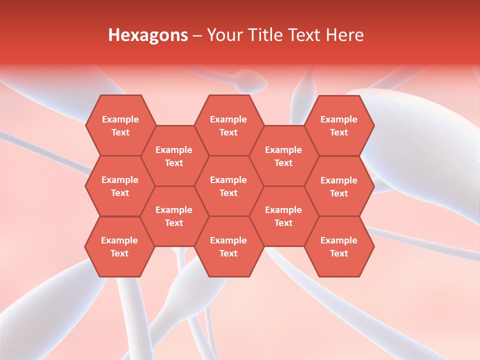 Study Life Bio PowerPoint Template