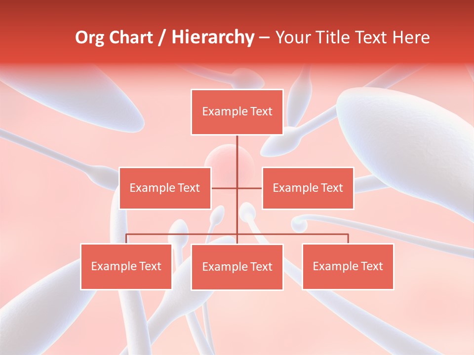 Study Life Bio PowerPoint Template