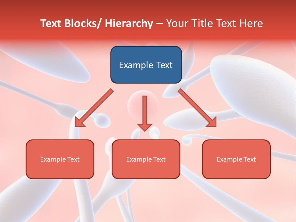 Study Life Bio PowerPoint Template