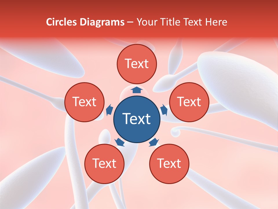 Study Life Bio PowerPoint Template