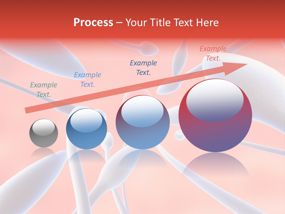 Study Life Bio PowerPoint Template