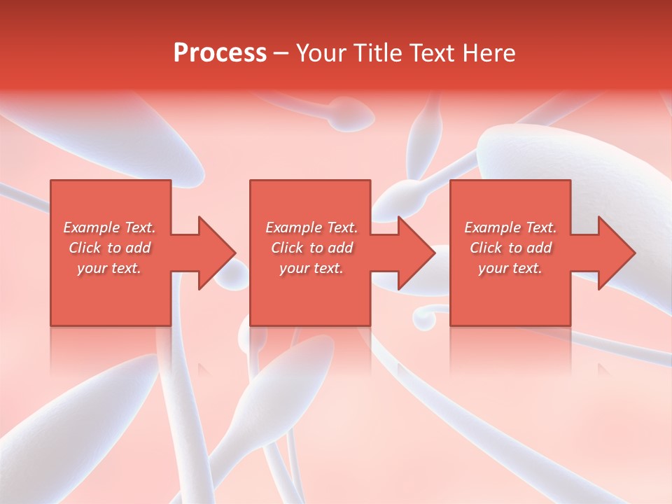 Study Life Bio PowerPoint Template