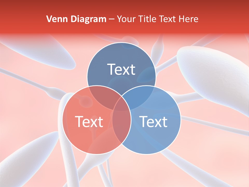 Study Life Bio PowerPoint Template