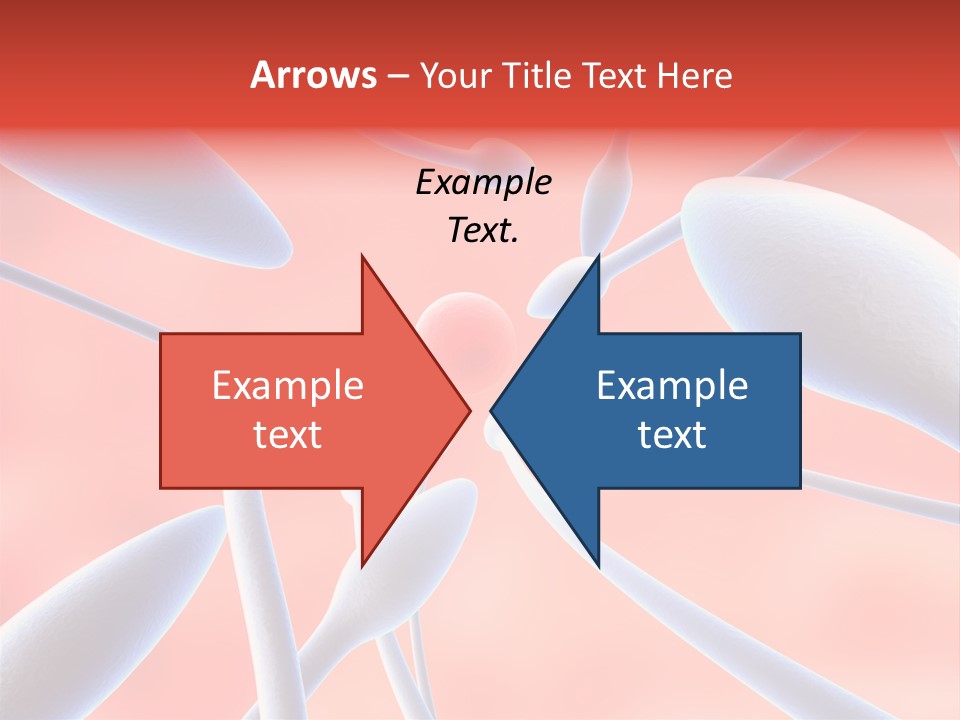 Study Life Bio PowerPoint Template