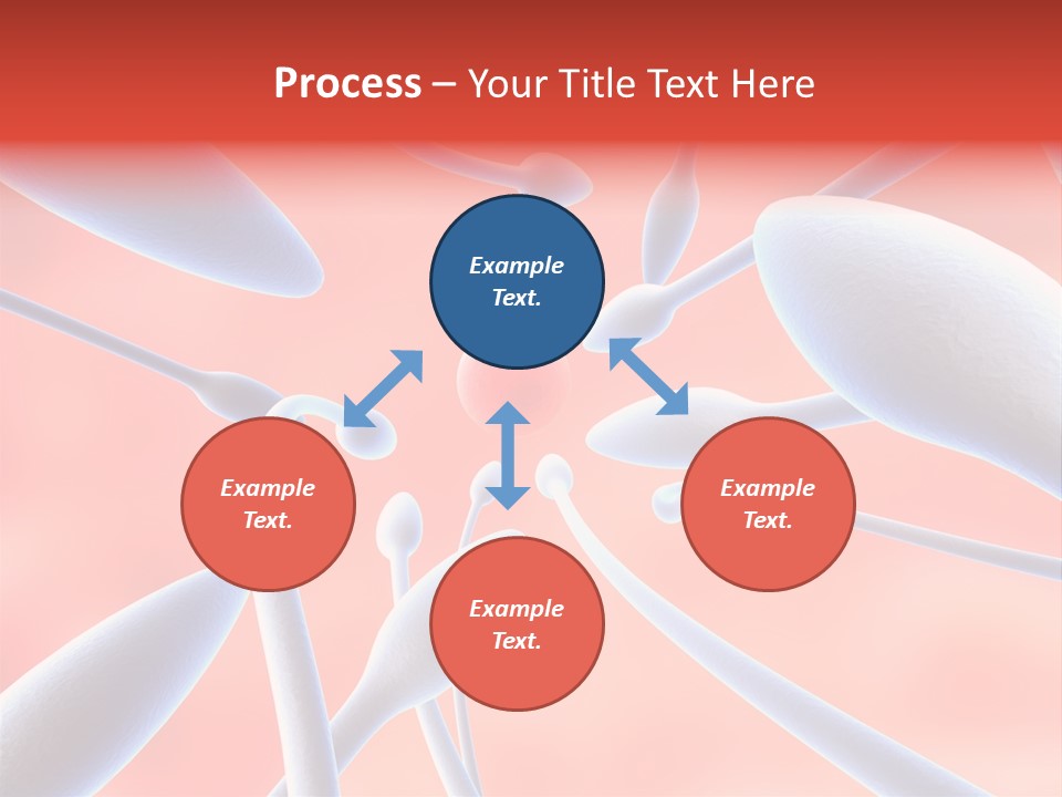Study Life Bio PowerPoint Template