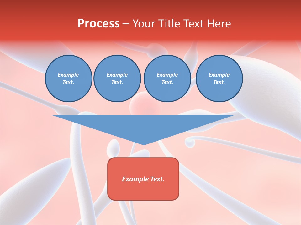 Study Life Bio PowerPoint Template