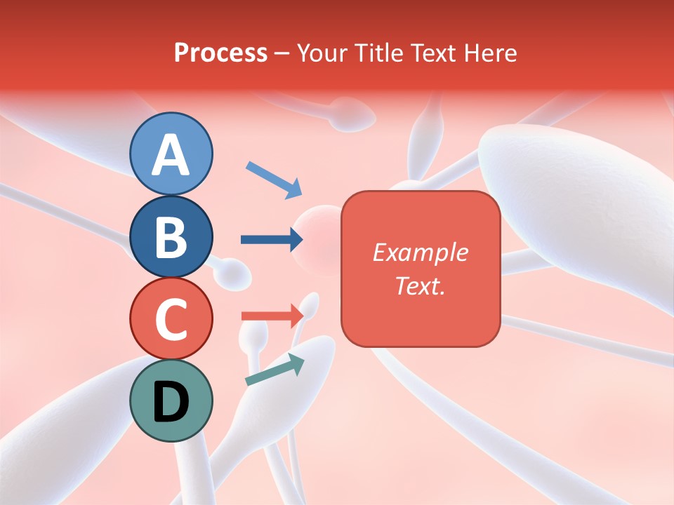 Study Life Bio PowerPoint Template