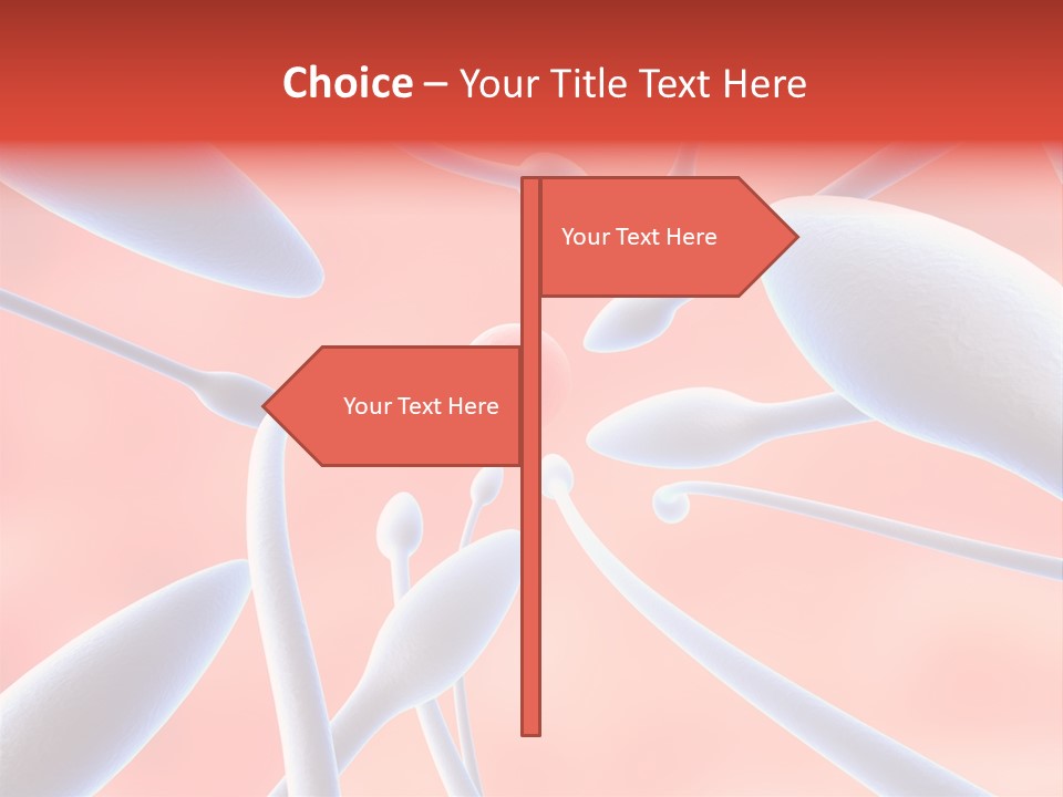 Study Life Bio PowerPoint Template