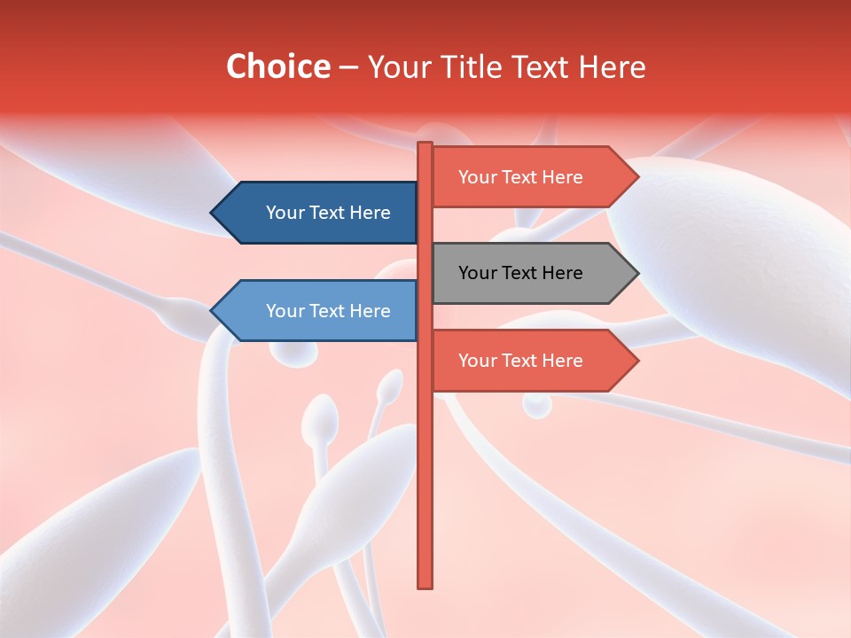 Study Life Bio PowerPoint Template