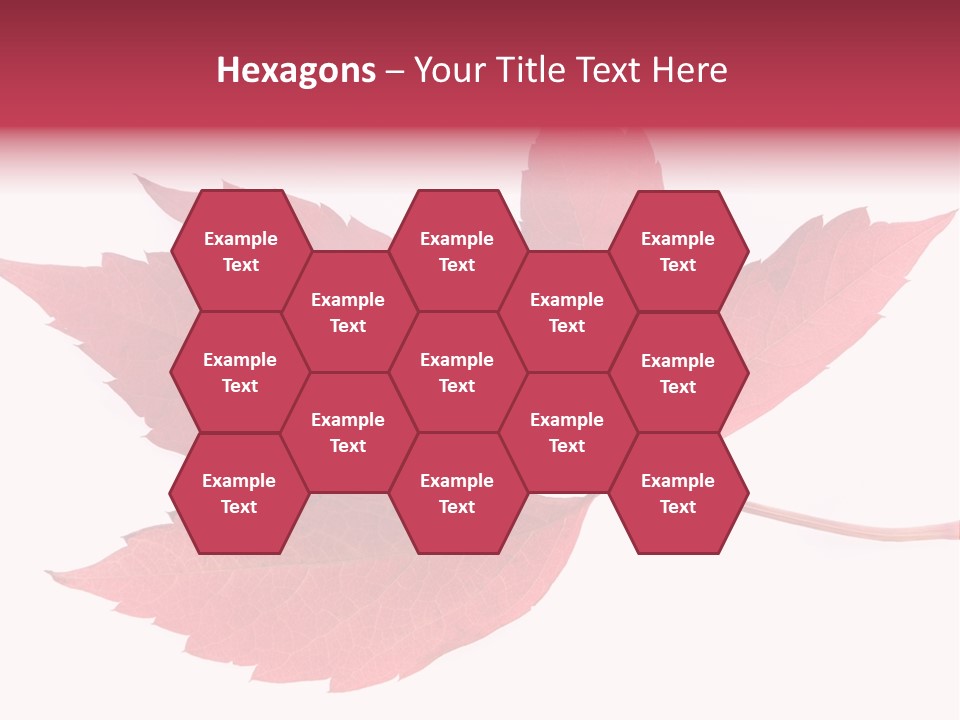 Fall Natural Botany PowerPoint Template