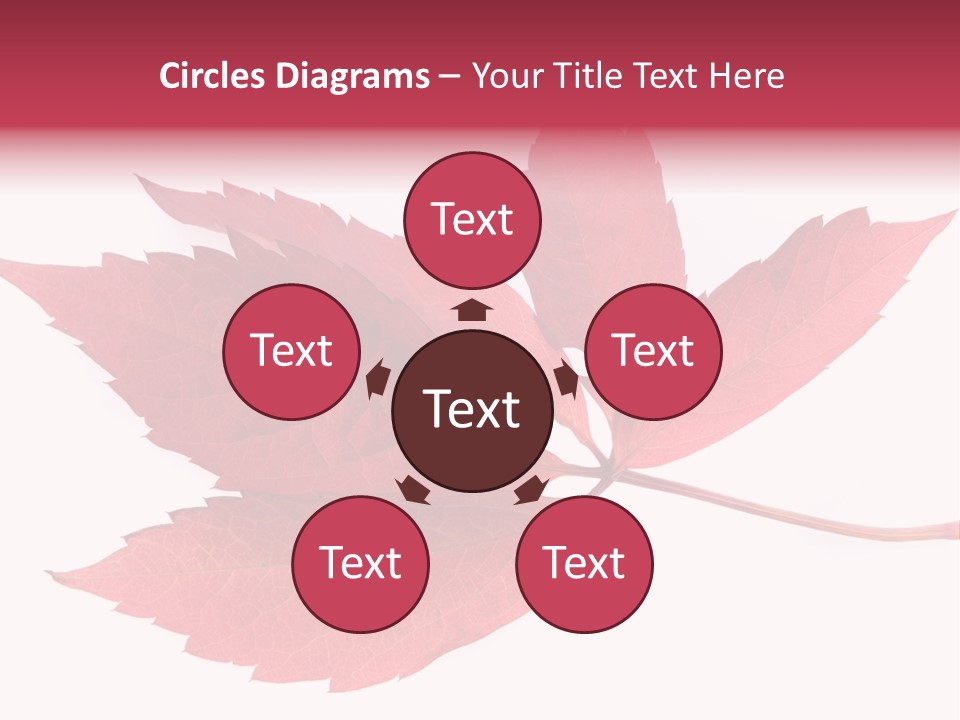 Fall Natural Botany PowerPoint Template