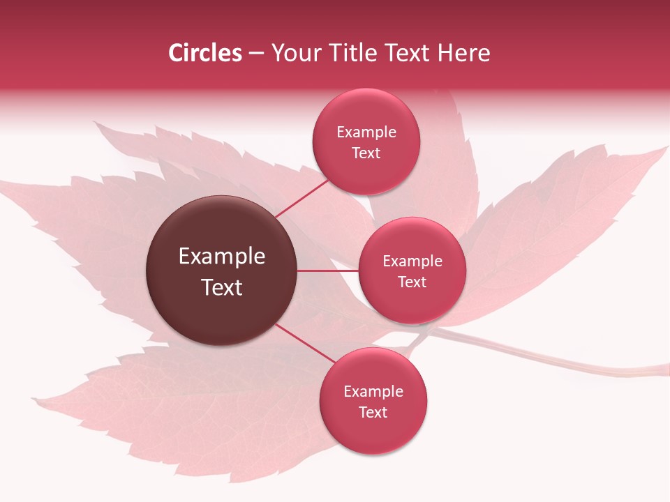 Fall Natural Botany PowerPoint Template
