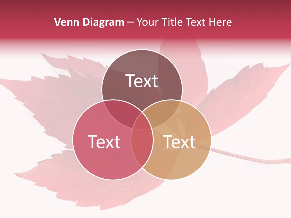 Fall Natural Botany PowerPoint Template