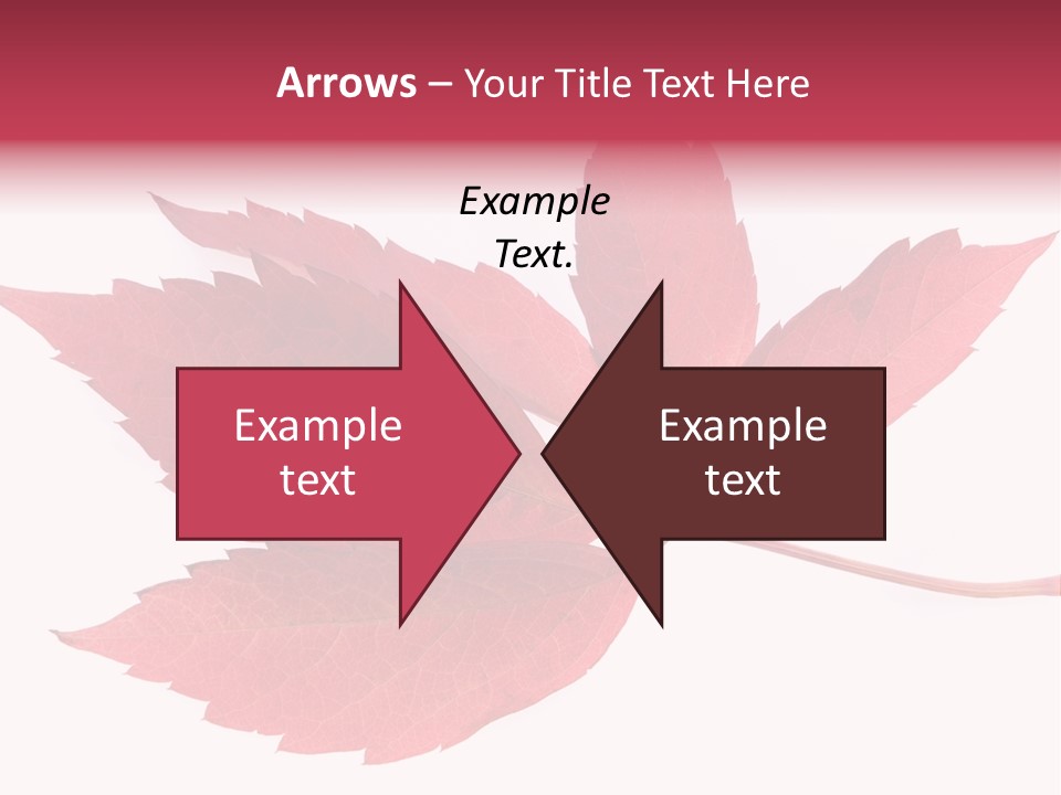 Fall Natural Botany PowerPoint Template