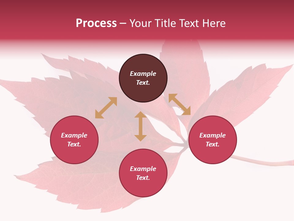 Fall Natural Botany PowerPoint Template
