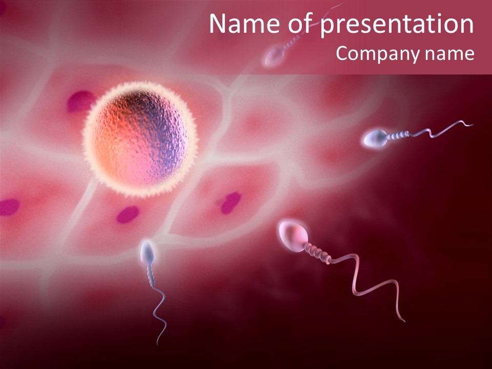 Reproduction Dna Internal PowerPoint Template