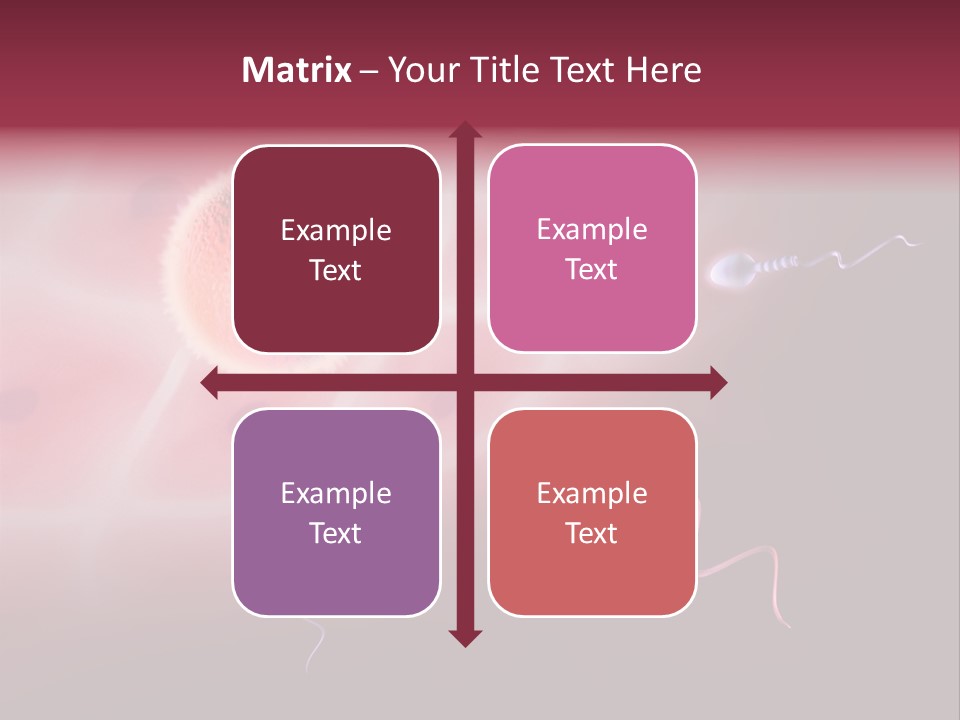 Reproduction Dna Internal PowerPoint Template