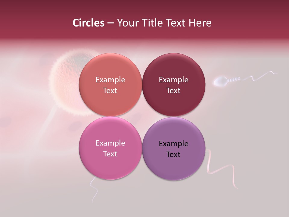 Reproduction Dna Internal PowerPoint Template