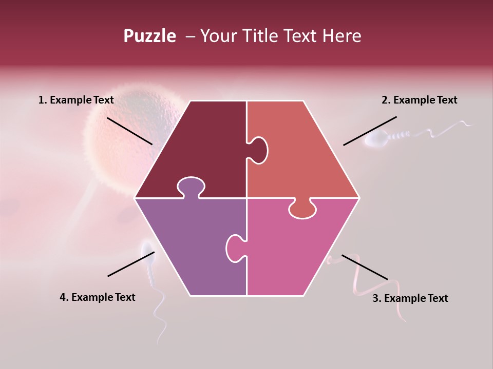Reproduction Dna Internal PowerPoint Template