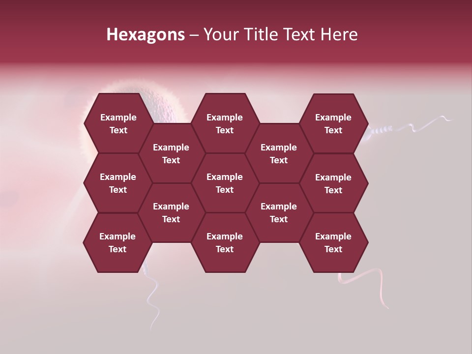 Reproduction Dna Internal PowerPoint Template