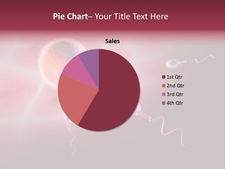 Reproduction Dna Internal PowerPoint Template